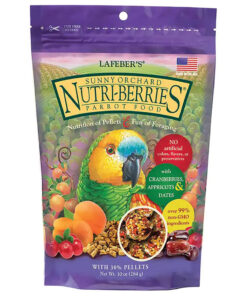 parrot food