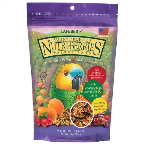 parrot food